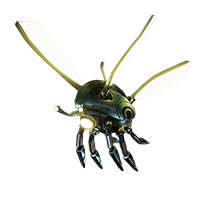 Scarab